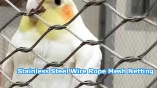 Làm thế nào để chọn lưới dây thép không gỉ phù hợp?