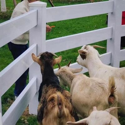 2 đường ray nhựa ngựa sân hàng rào hàng rào an toàn ngựa Paddock hàng rào đường ray nhựa