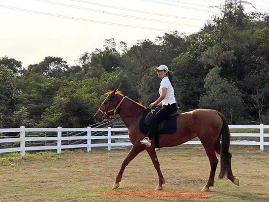 Không thấm nước bên ngoài nhựa vinyl cho Ranch hàng rào Paddock hàng rào