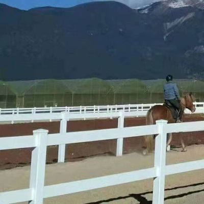 Đường sắt PVC màu đen trắng ổn định Ranch Paddock ngựa