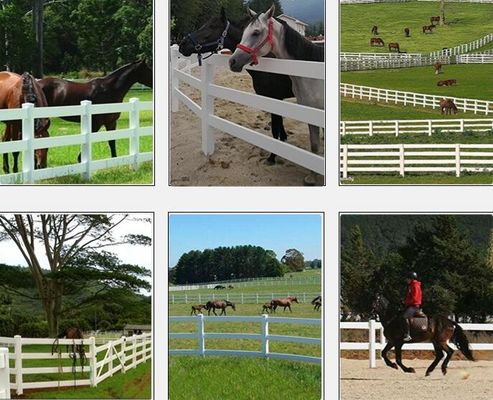 2 đường ray nhựa ngựa sân hàng rào hàng rào an toàn ngựa Paddock hàng rào đường ray nhựa