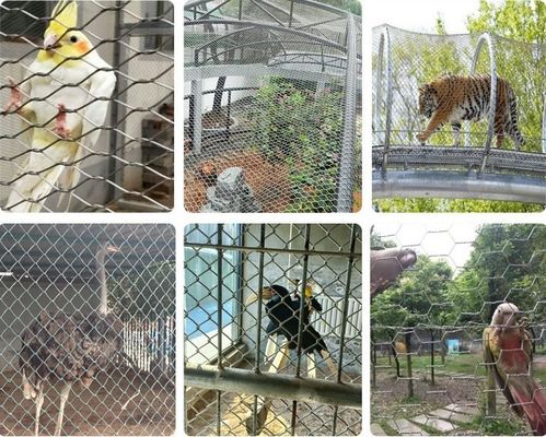 Lưới cáp thép không gỉ 304 xử lý oxy hóa đen cho chuồng chim sở thú