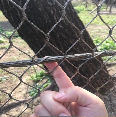 Lưới bảo vệ 304 316 Dây thép không gỉ Lưới trang trí cho khu vực sân vườn