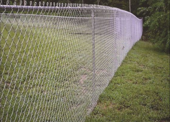 Hot Dip Galvanized Chain Link hàng rào 6ft 8ft 30m 50m Roll