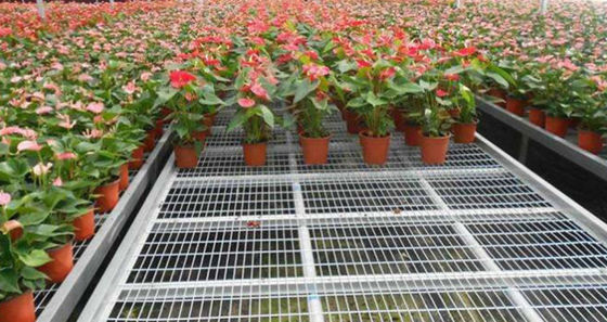 Tấm lưới thép hàn mạ kẽm 50x50mm, dày 3mm
