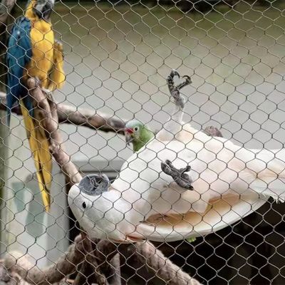 Thép không gỉ dây lưới với hình dạng lỗ kim cương chống tia cực tím và 10 năm bảo hành cho hàng rào vườn thú và chuồng chim