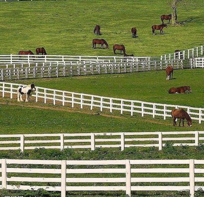Dễ dàng lắp ráp 4 đường ray Vinyl Pvc Làng hàng rào White Horse Rail hàng rào